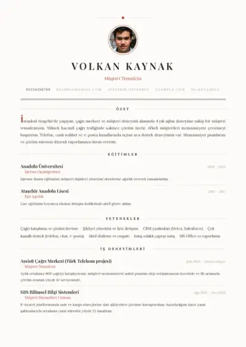  cv indir